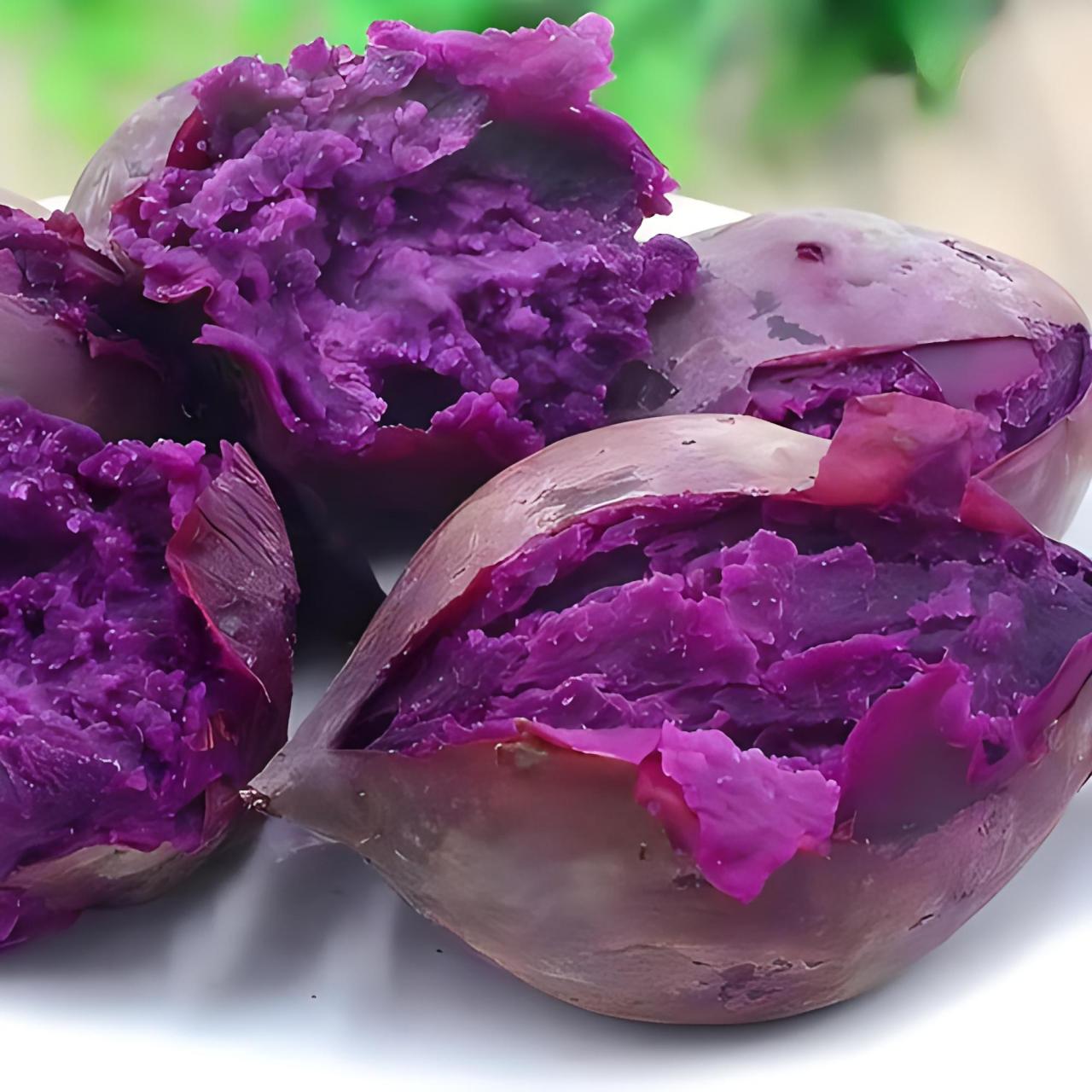 学名:紫薯的学名是04ipomoea batatas.