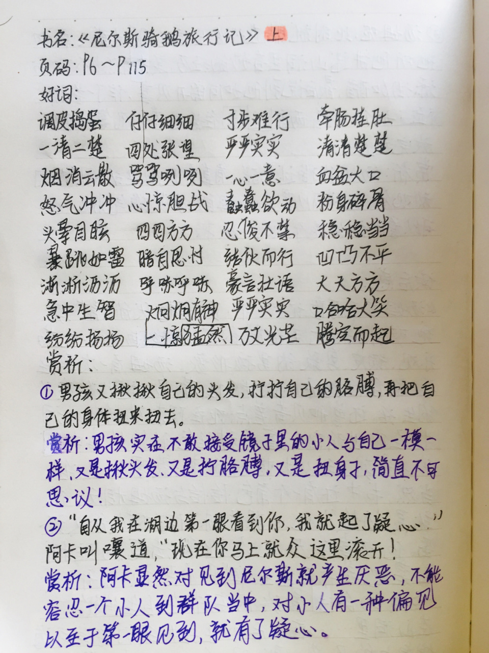 尼尔斯骑鹅旅行记摘抄