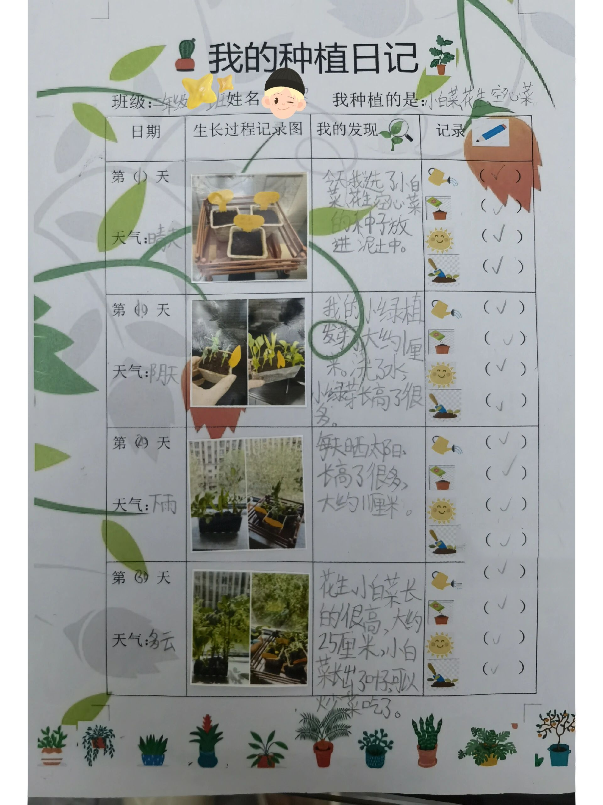 种植过程记录表