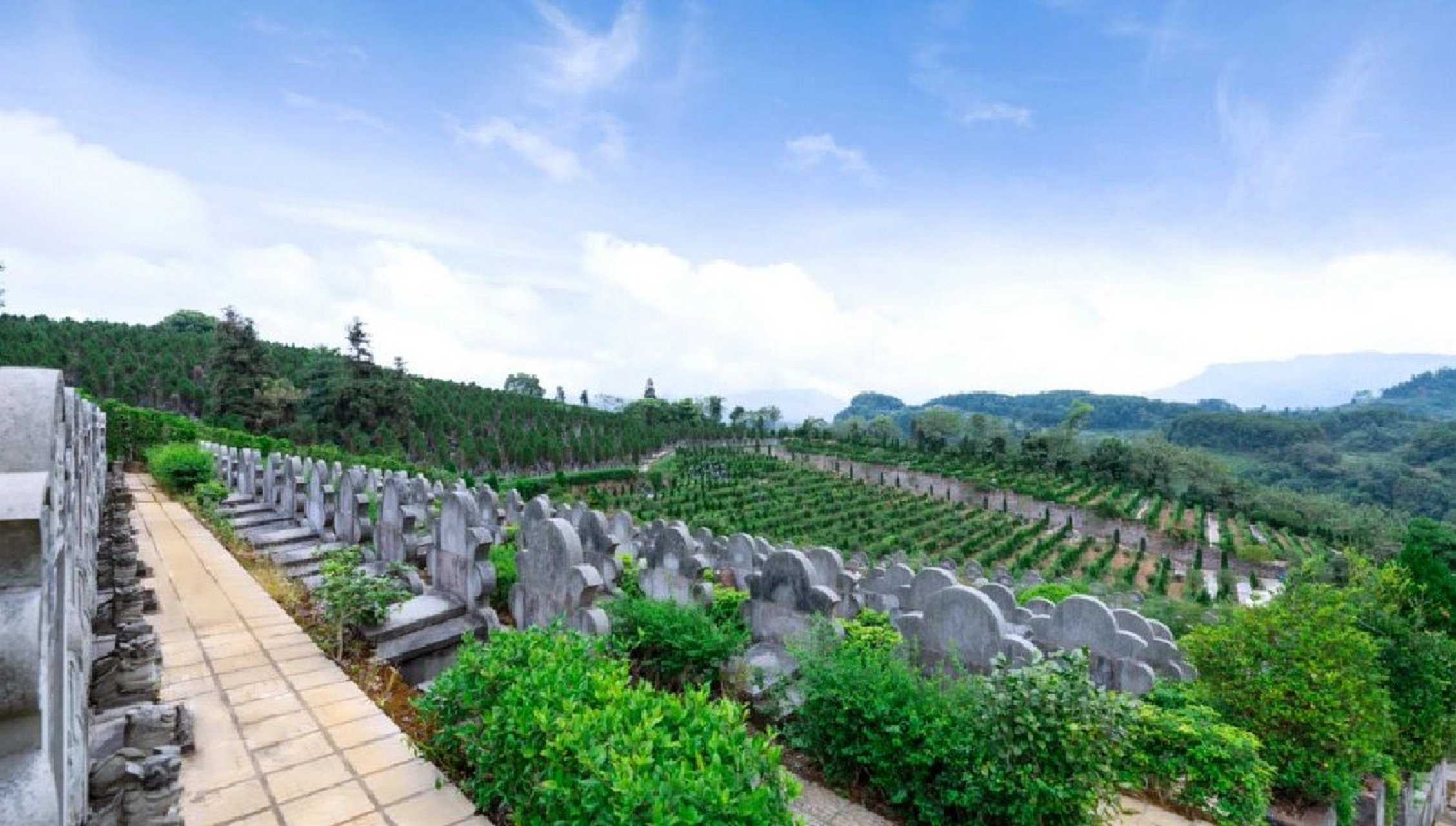 今天给大家介绍一家重庆的陵园,龙凤山陵园,具体位置在哪里呢?