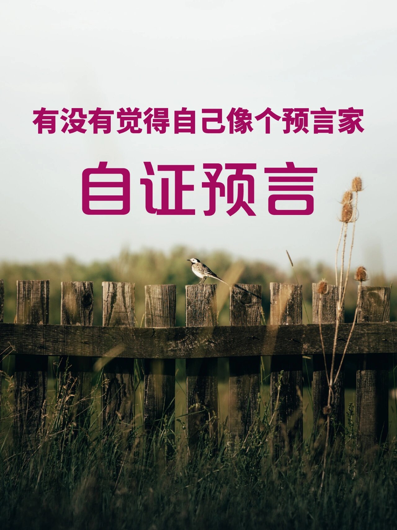 预言真的存在吗