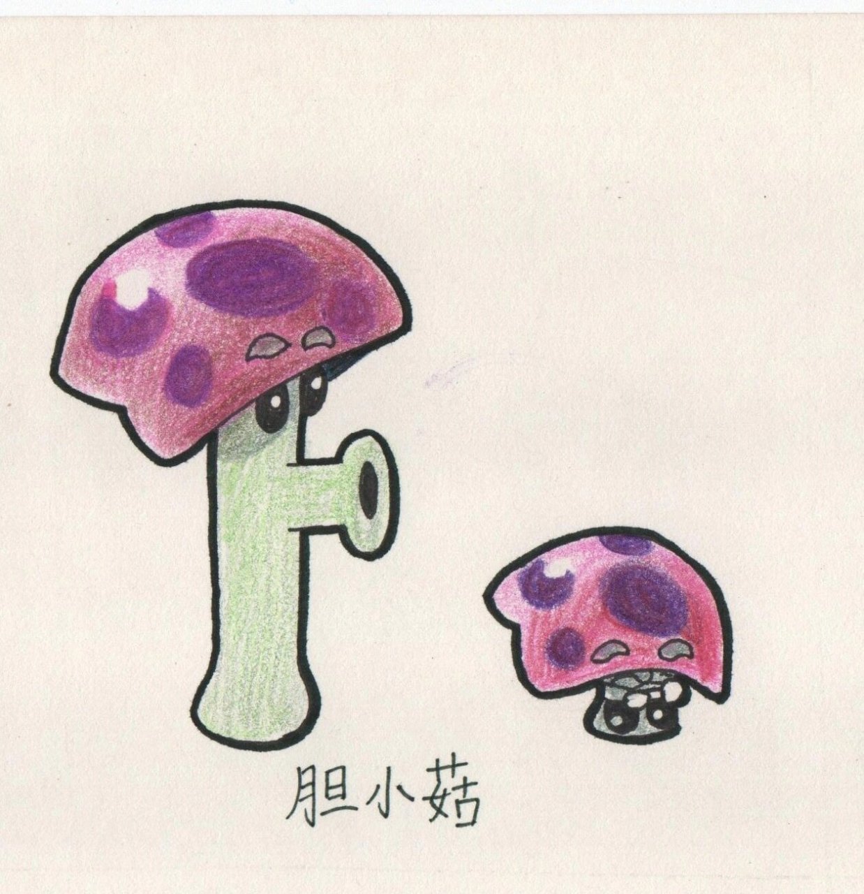 胆小菇的简笔画图片