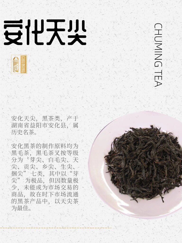楚茗茶百科|安化天尖