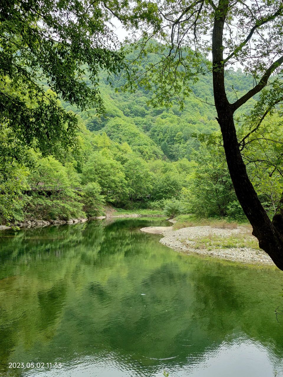 阳坝梅园沟一日游 非常小众的一个景区,不需要排队,美团门票32,观光车