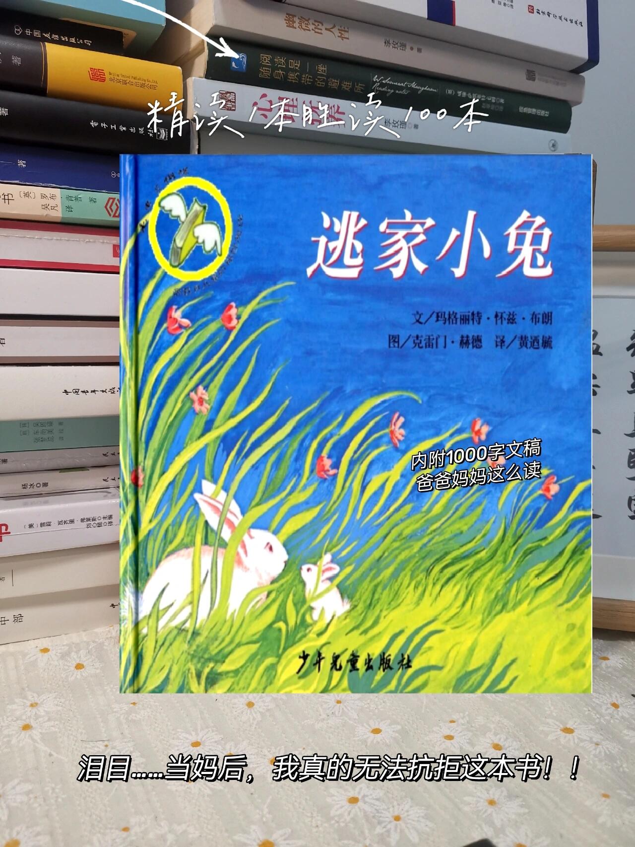 绘本精读《逃家小兔》|经典温馨母爱系列