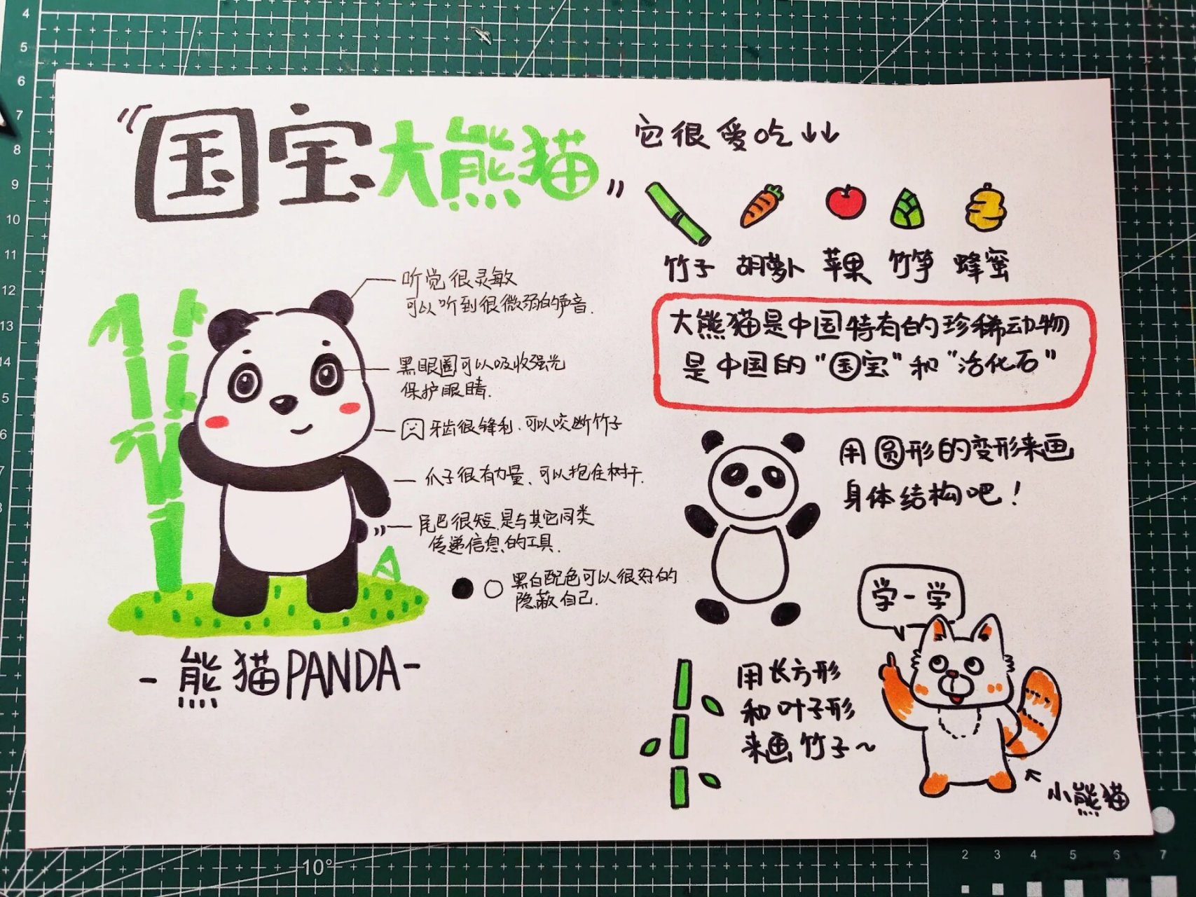 熊猫儿童画‖教案备课 初幼,小学备课内容,小熊猫