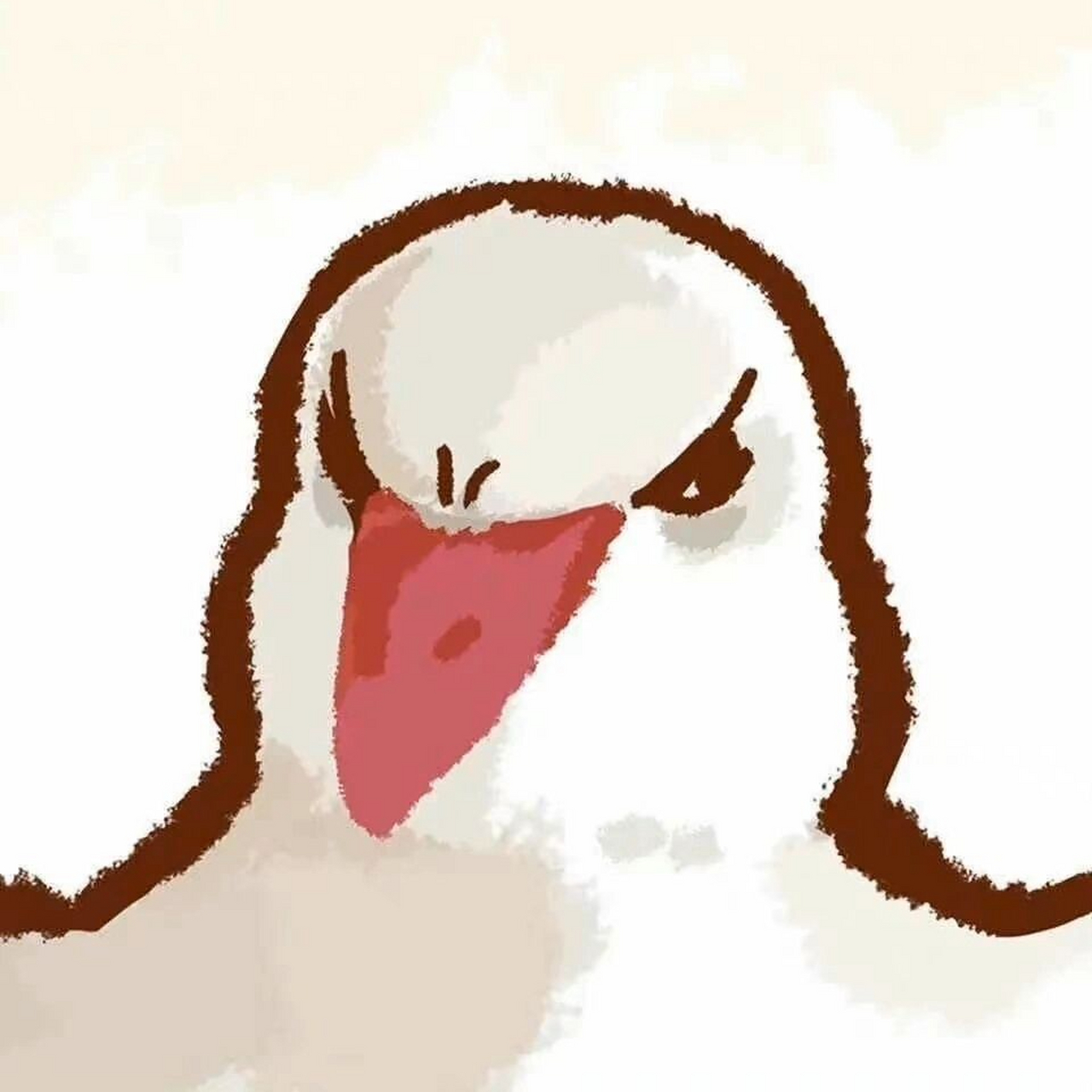 鸽鸽情头～ 妈呀超喜欢