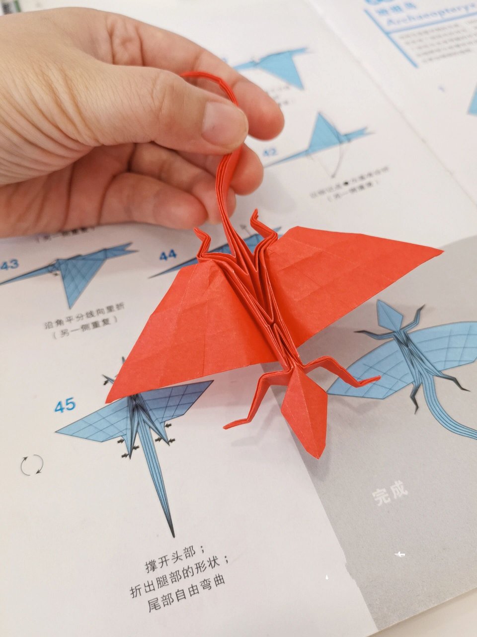 《超级折纸恐龙与古生物》11 孔耐蜥 后面附图纸,喜欢的自取.