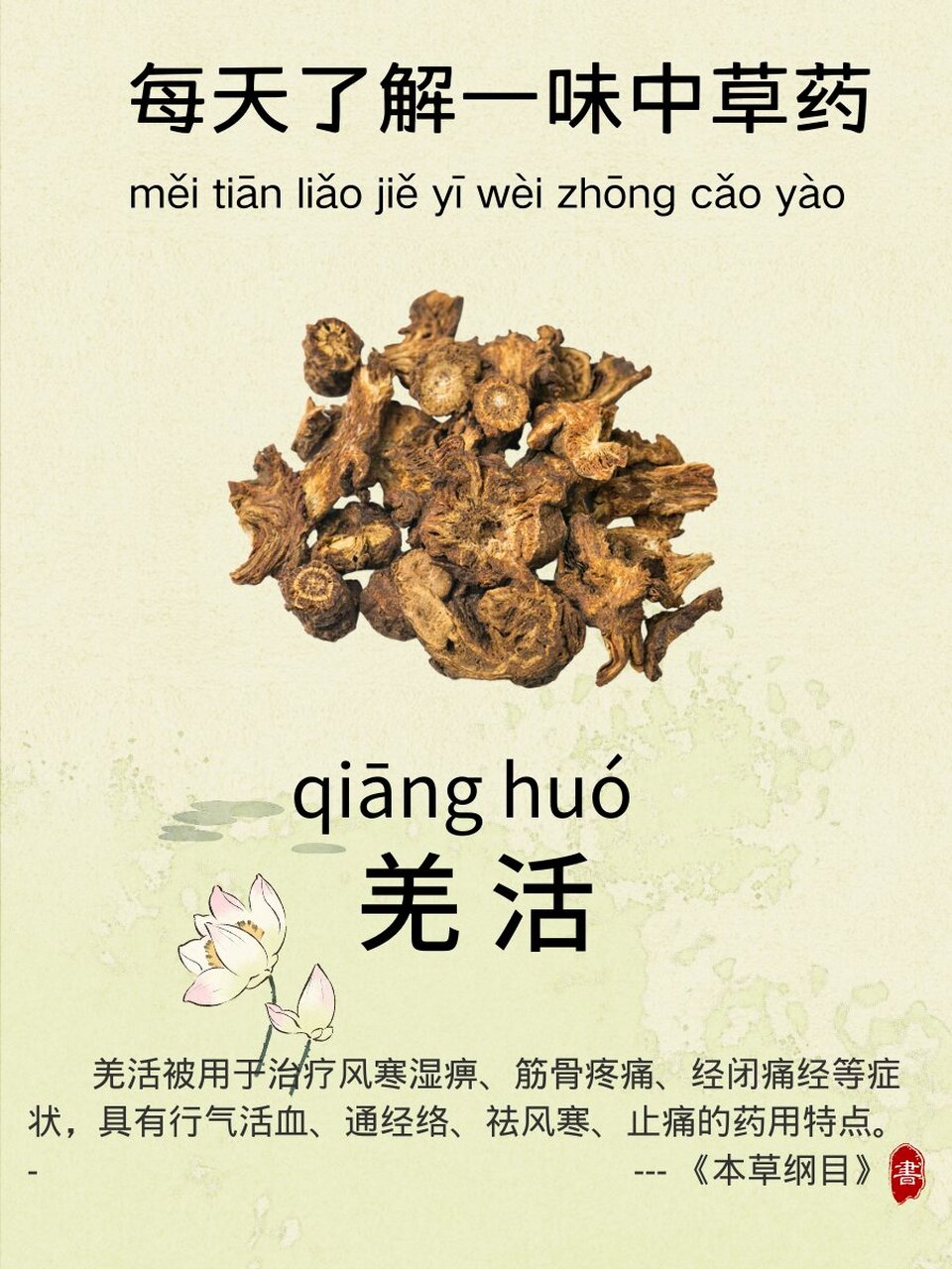 羌活的用量图片