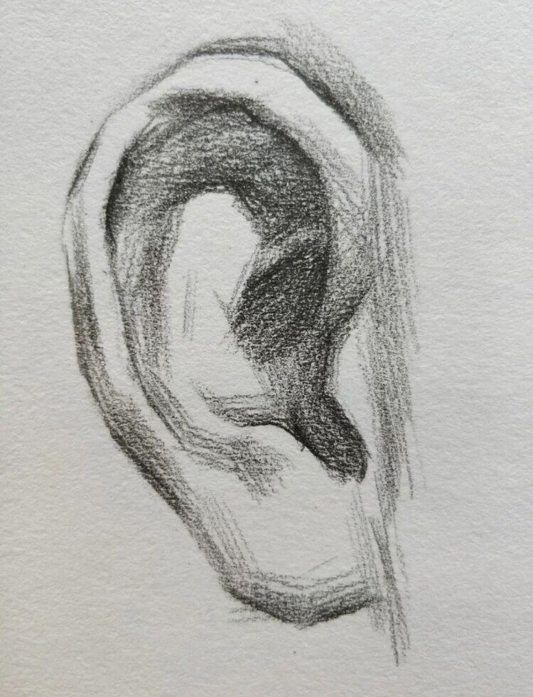 素描耳朵局部步骤图来咯
