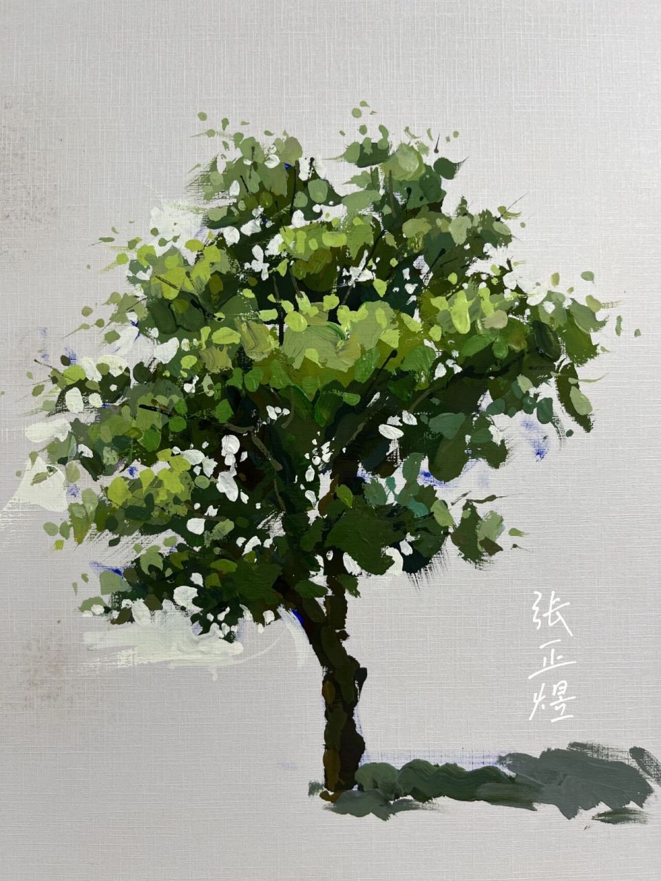 色彩单体 树 乔木植物  普画法 色彩风景  树的画法 	 一,关于调色