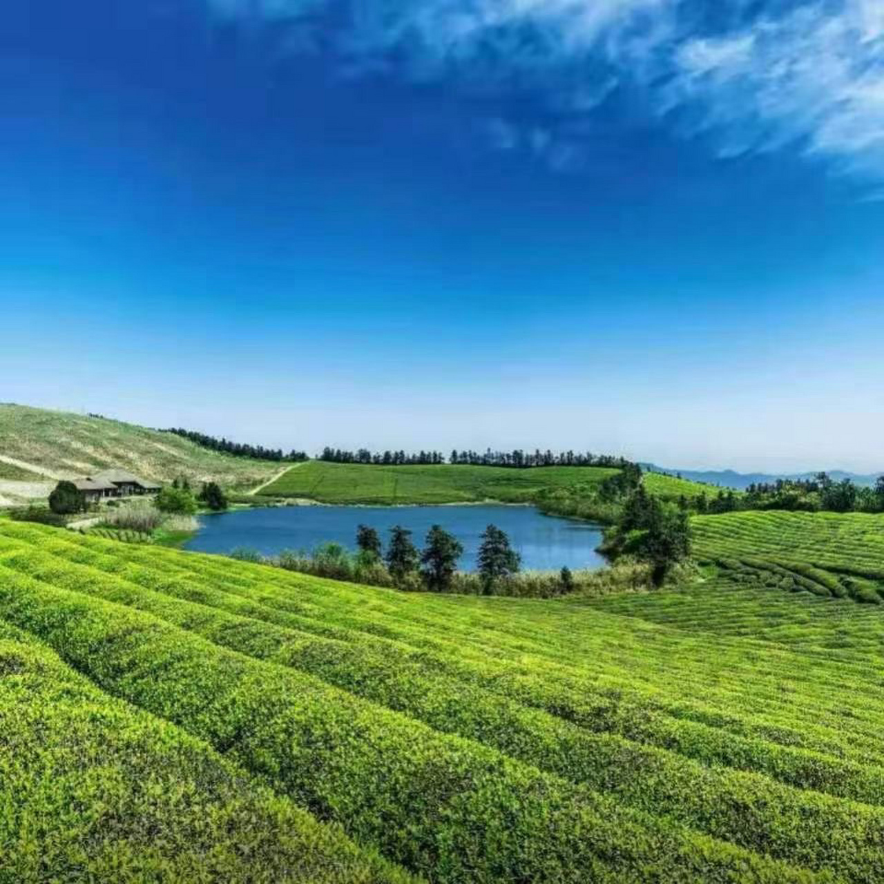 《头像分享》利财运