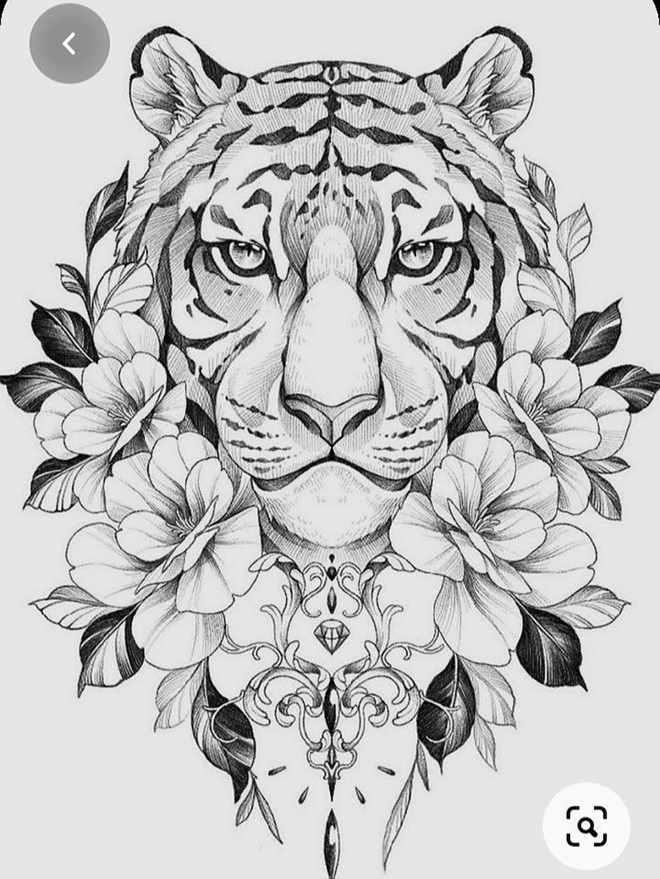 虎虎生威,铅笔画老虎分享 #画画