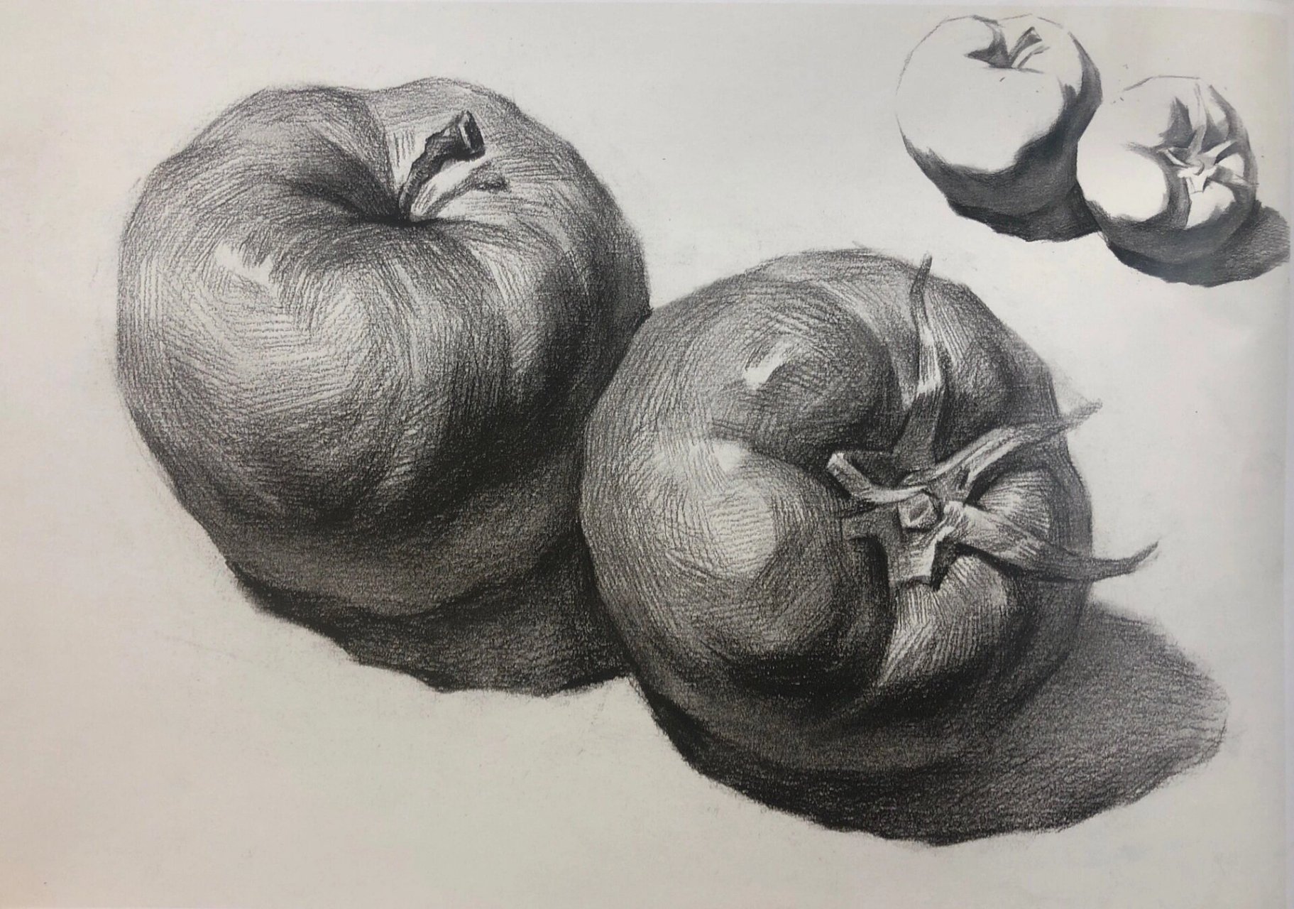 常见的素描静物水果单体高清图片97 常见的一些素描类的水果静物