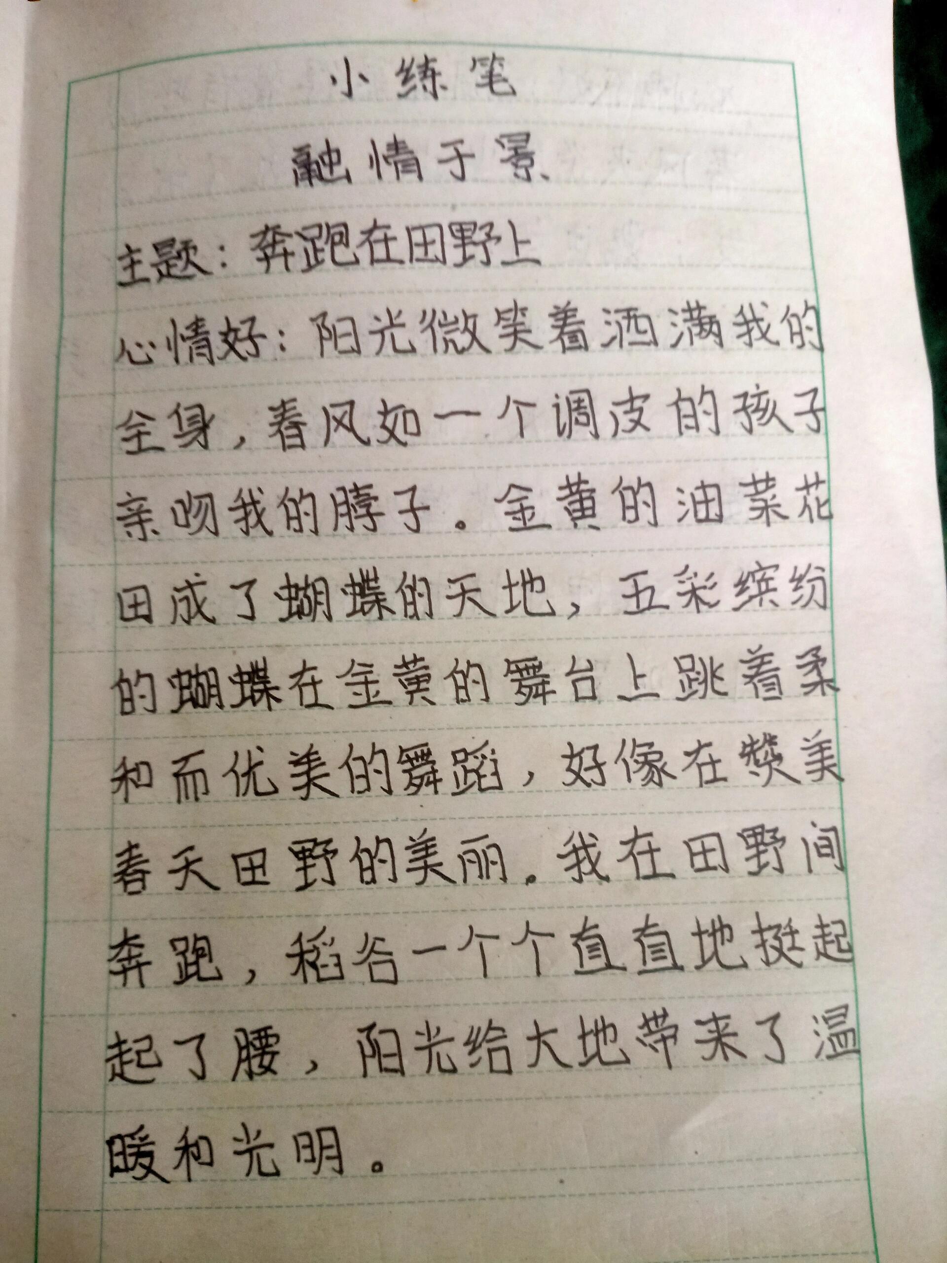 六年级下册第三单元初试身手