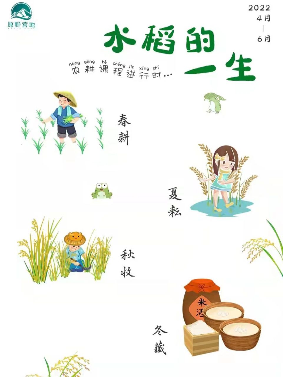 农耕课程|水稻的一生 96适合农场,乡村研学的农耕课程,小伙伴们抓紧