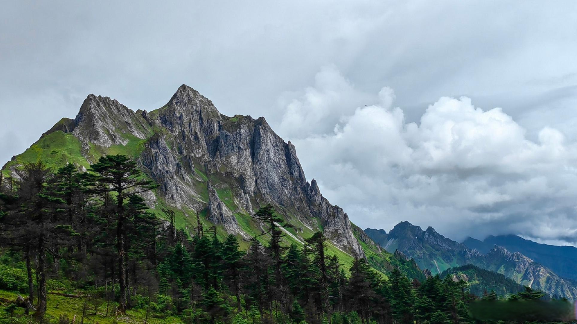 【孔雀山:草甸织绿毯 花海绣霓裳】孔雀山位于云南