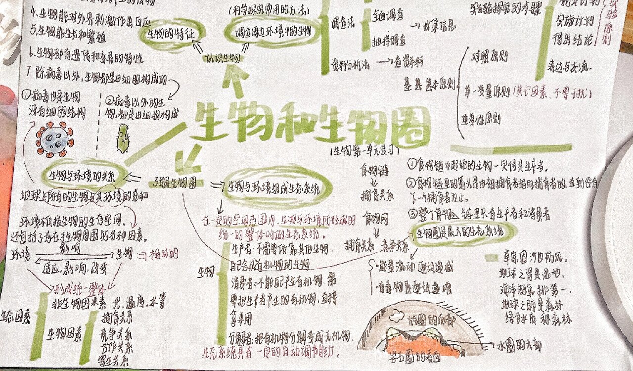 生物圈思维导图简单图片