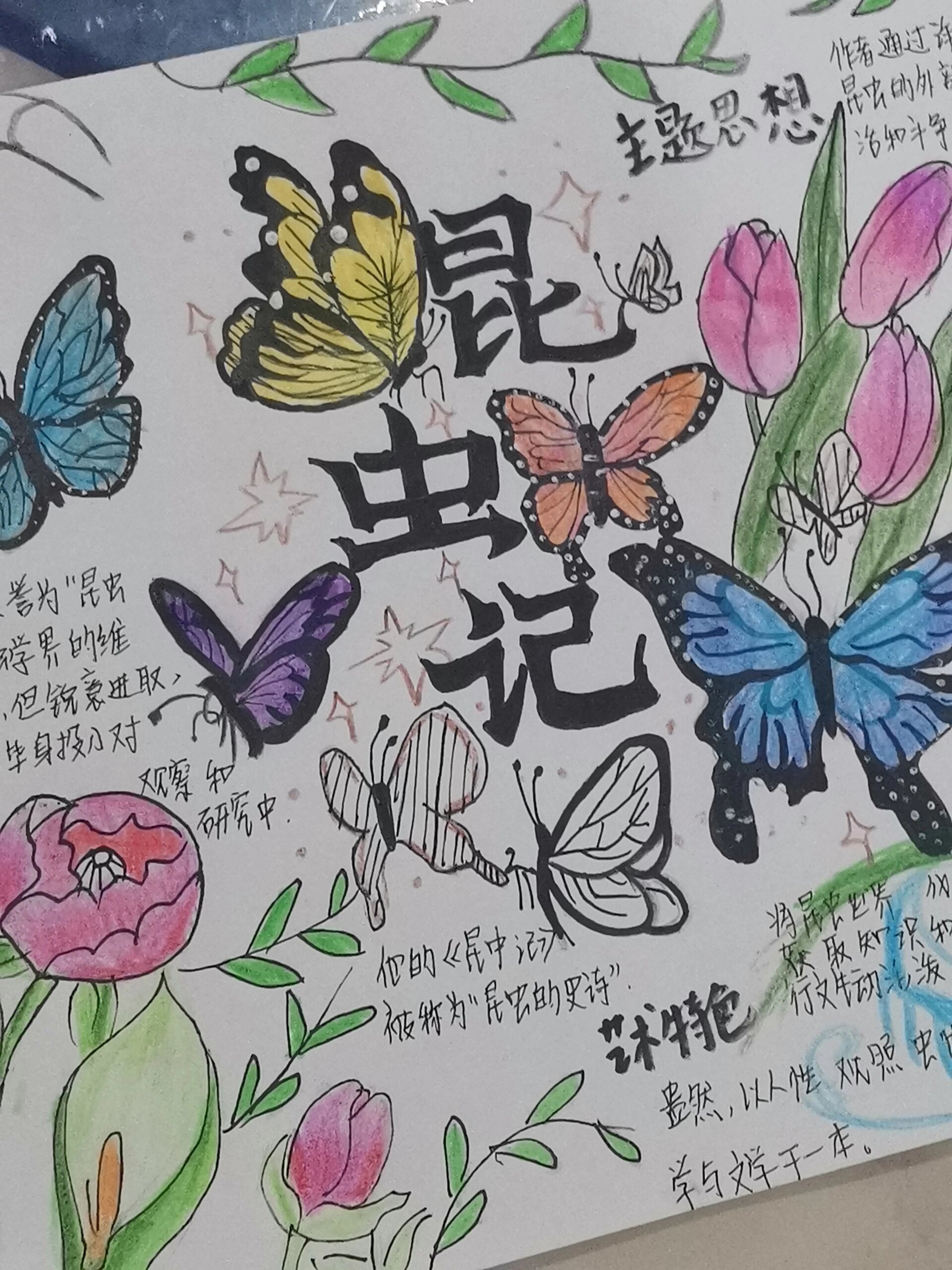 《昆虫记》手抄报