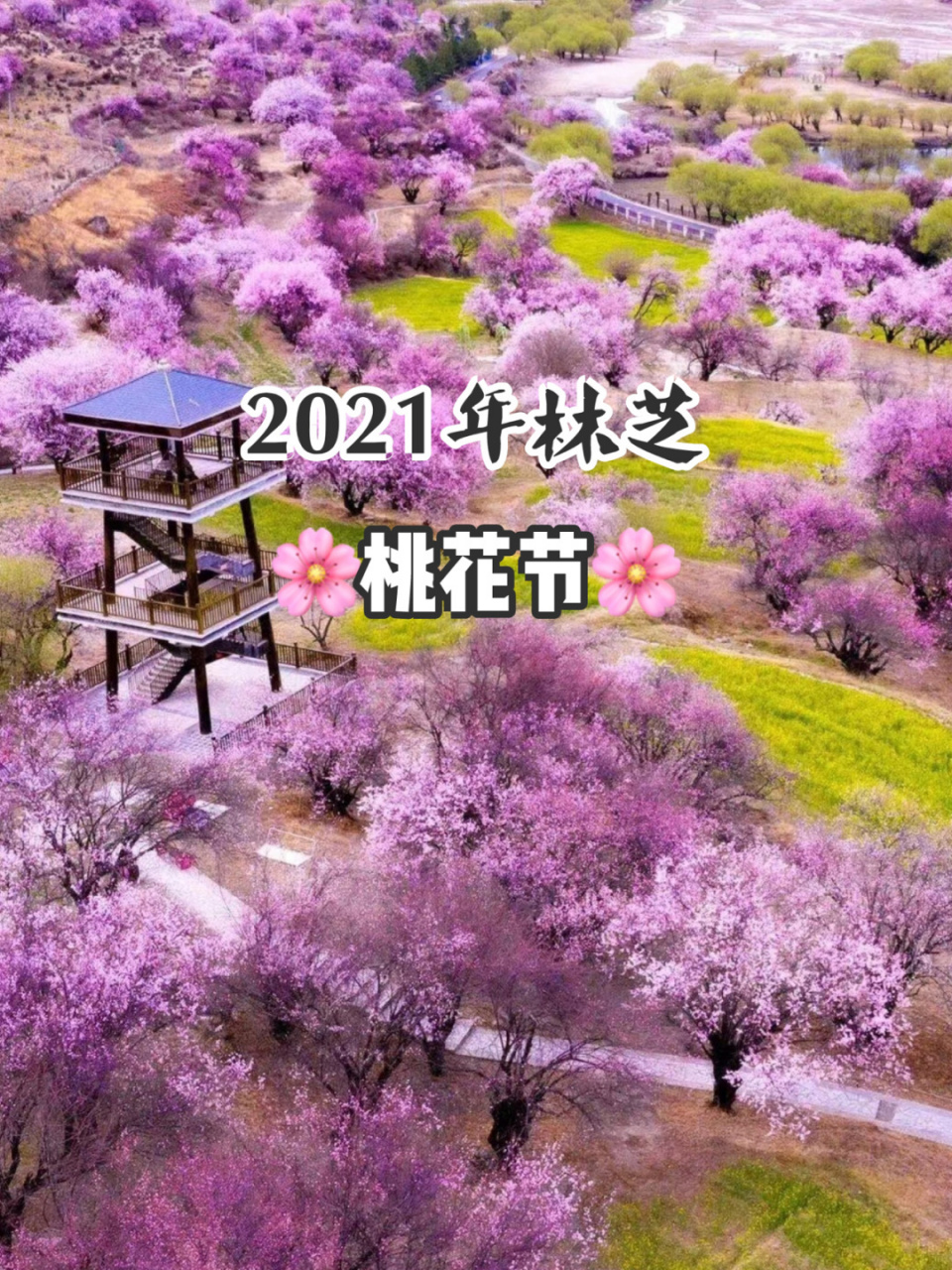 三十岗桃花节2021图片