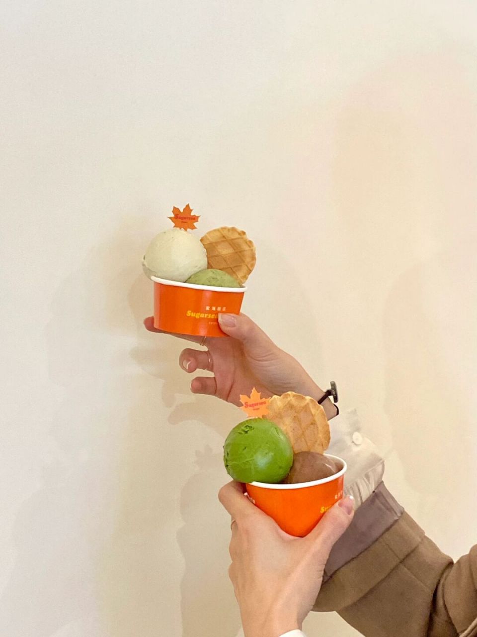 sugarsea gelato 99北环海路161号106 	 意大利手工冰激凌 老板每次