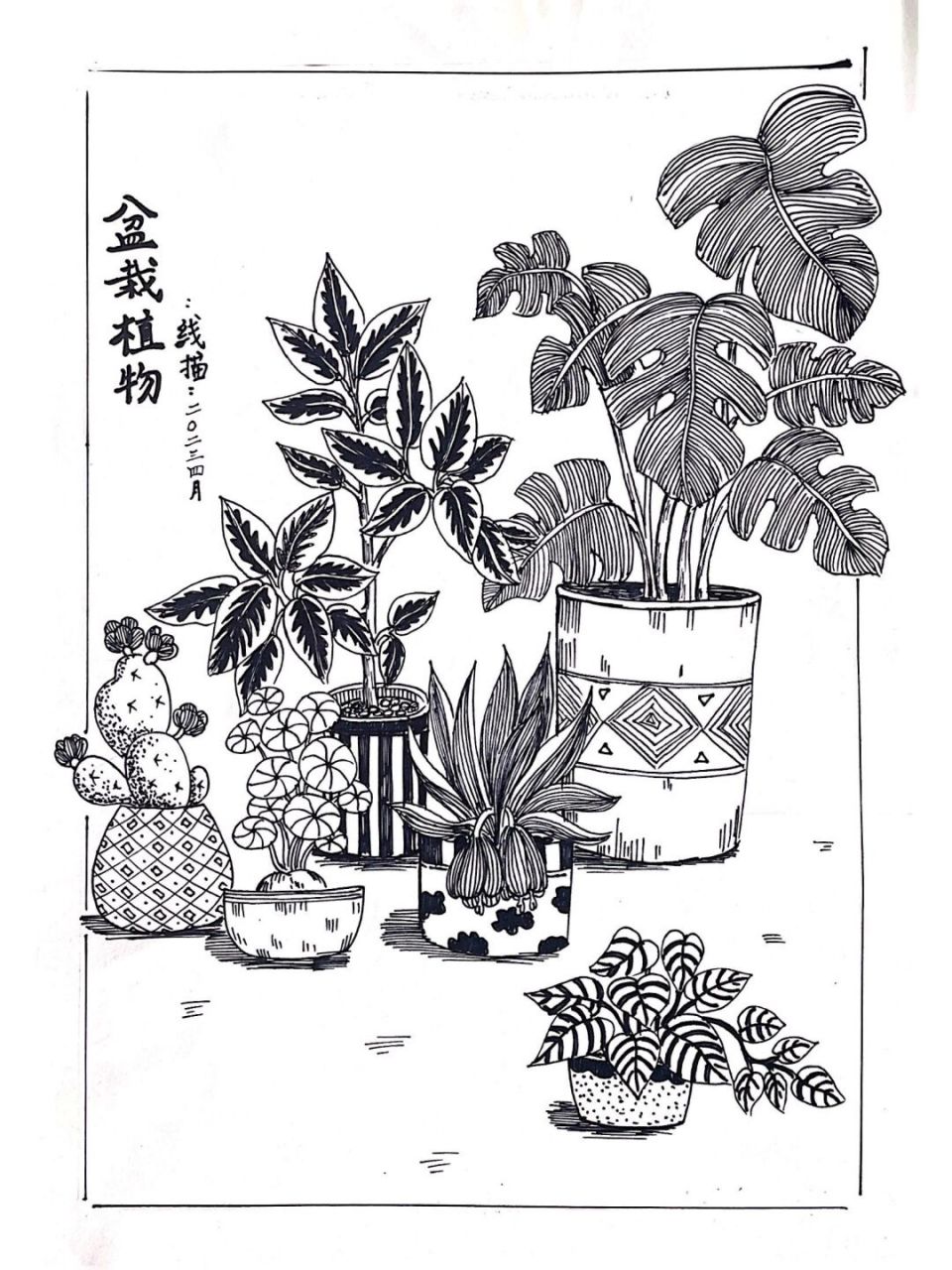 线描植物