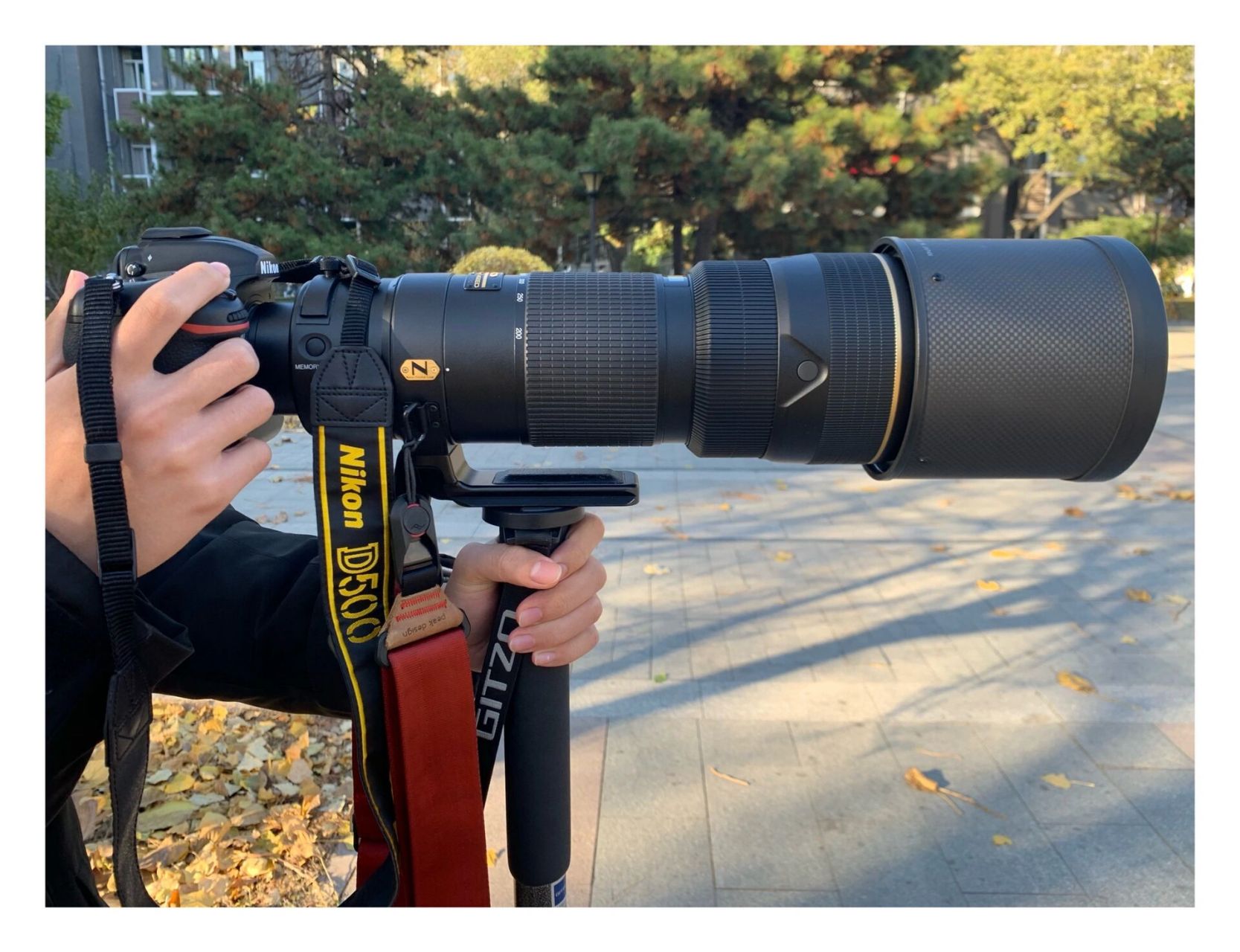 奇奇怪怪的玩法之尼康d500搭配200-400 f4 尼康d5配腾龙150-600g2没了