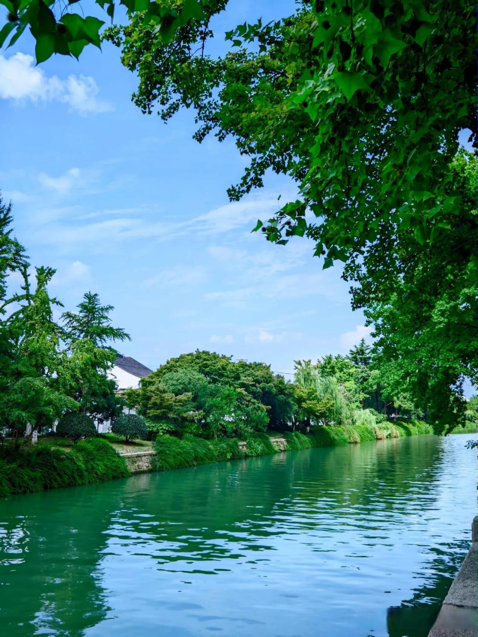 小桥流水人家公园湖边美景