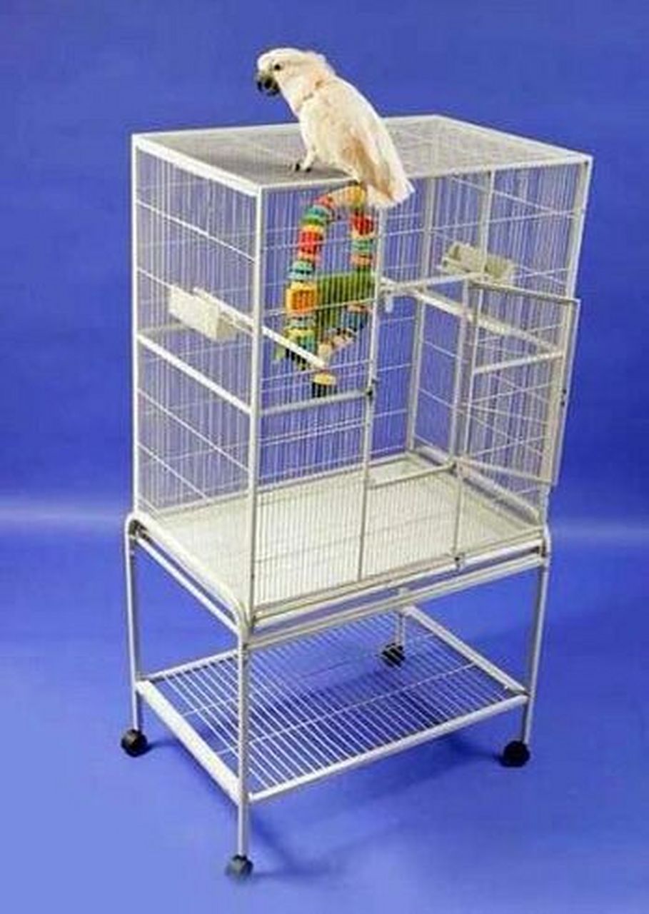 大众最喜欢的三款虎皮鹦鹉笼子 大众最中意的三款虎皮鹦鹉笼子分别为