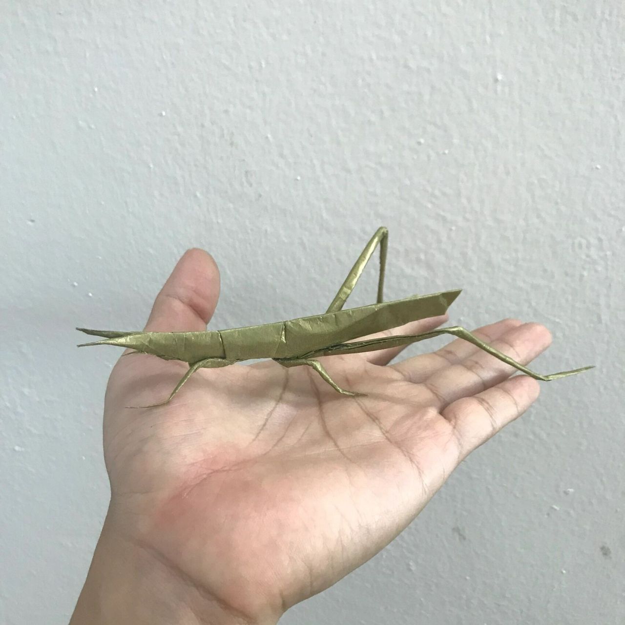 折纸日常之神谷哲史昆虫x5 蜻蜓,蚂蚱01,蝴蝶03,美他利弗锹形甲虫