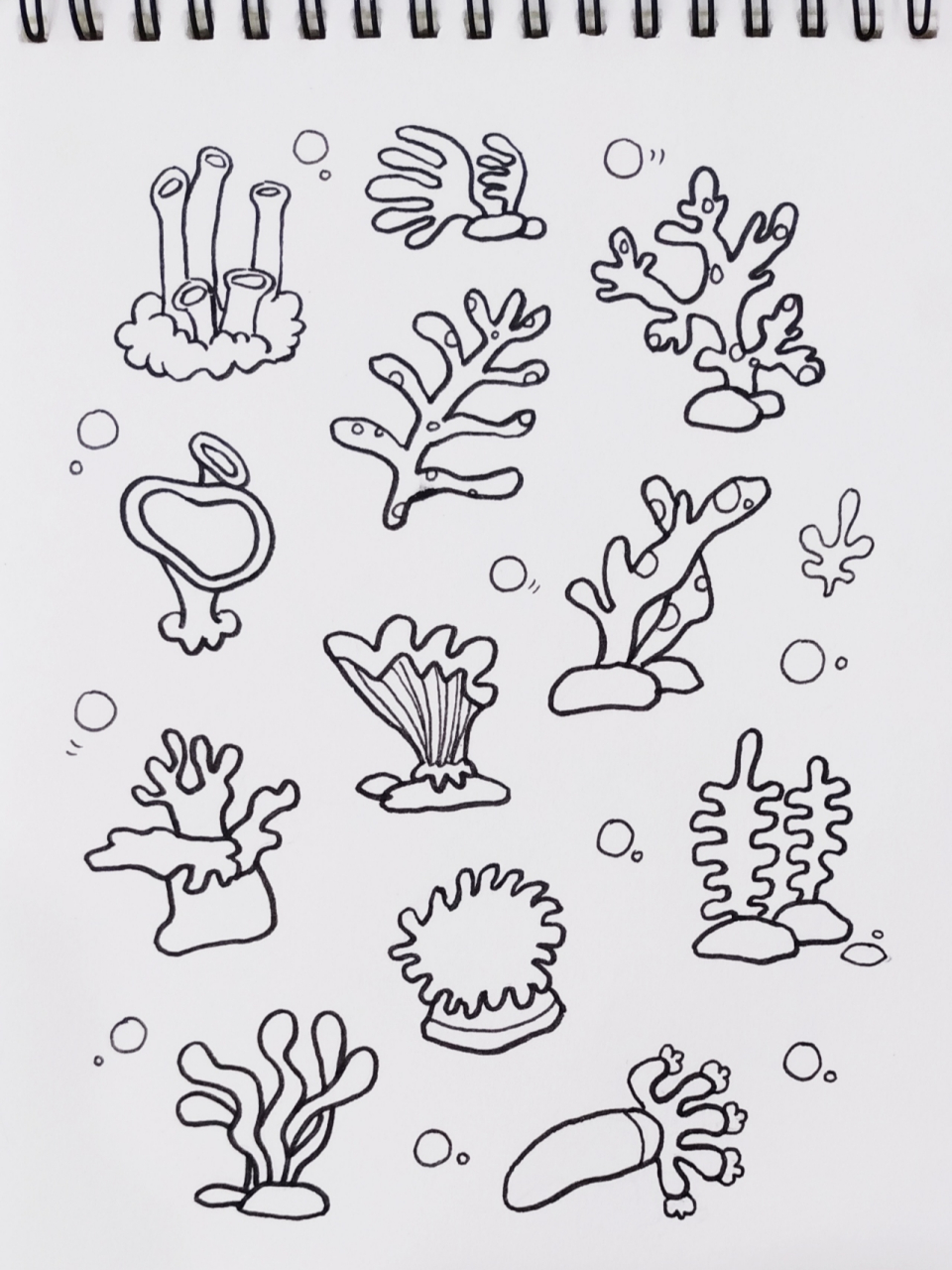 珊瑚虫 简笔画图片