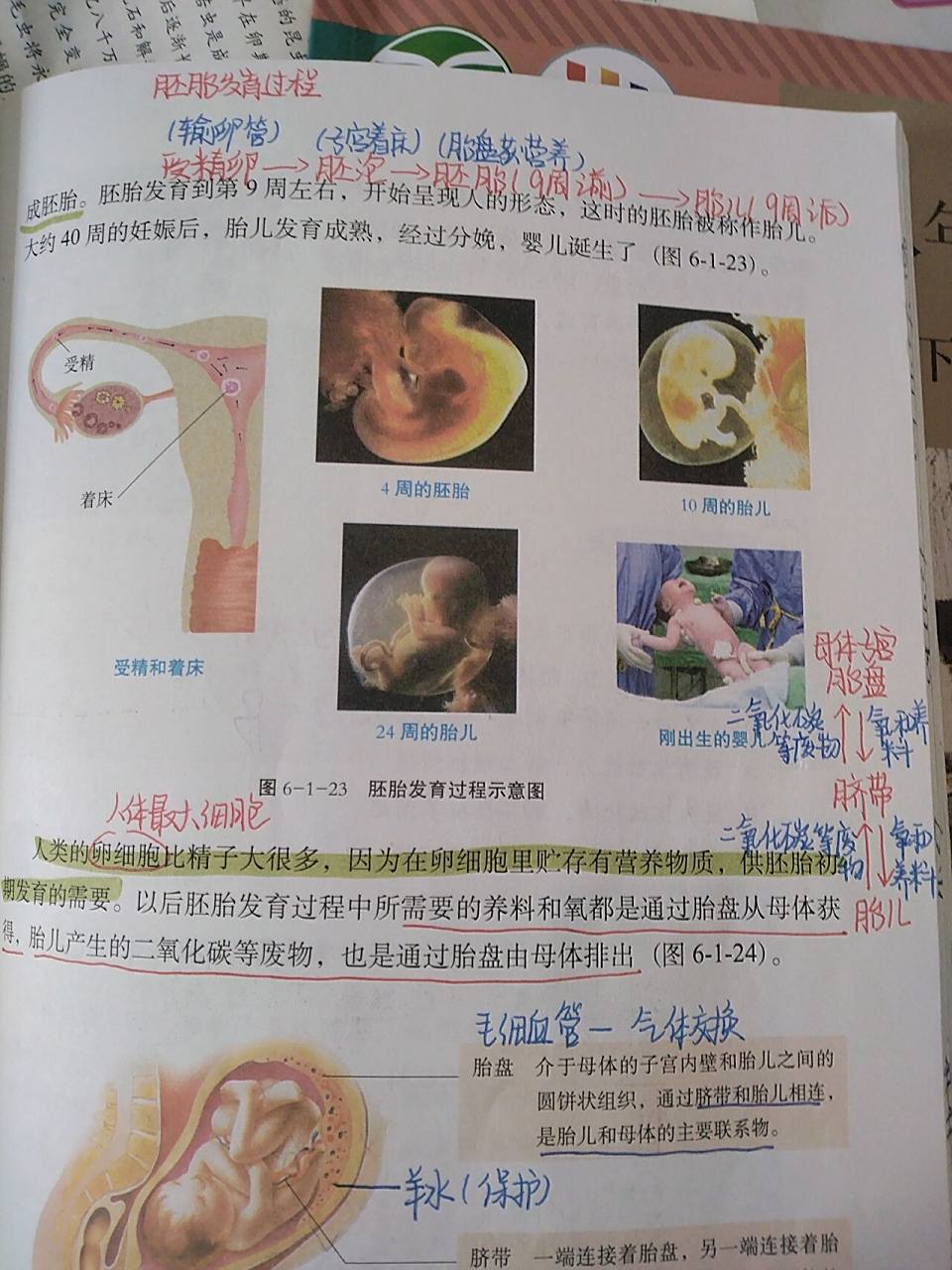 八年级下册生物人的生殖和胚胎发育笔记