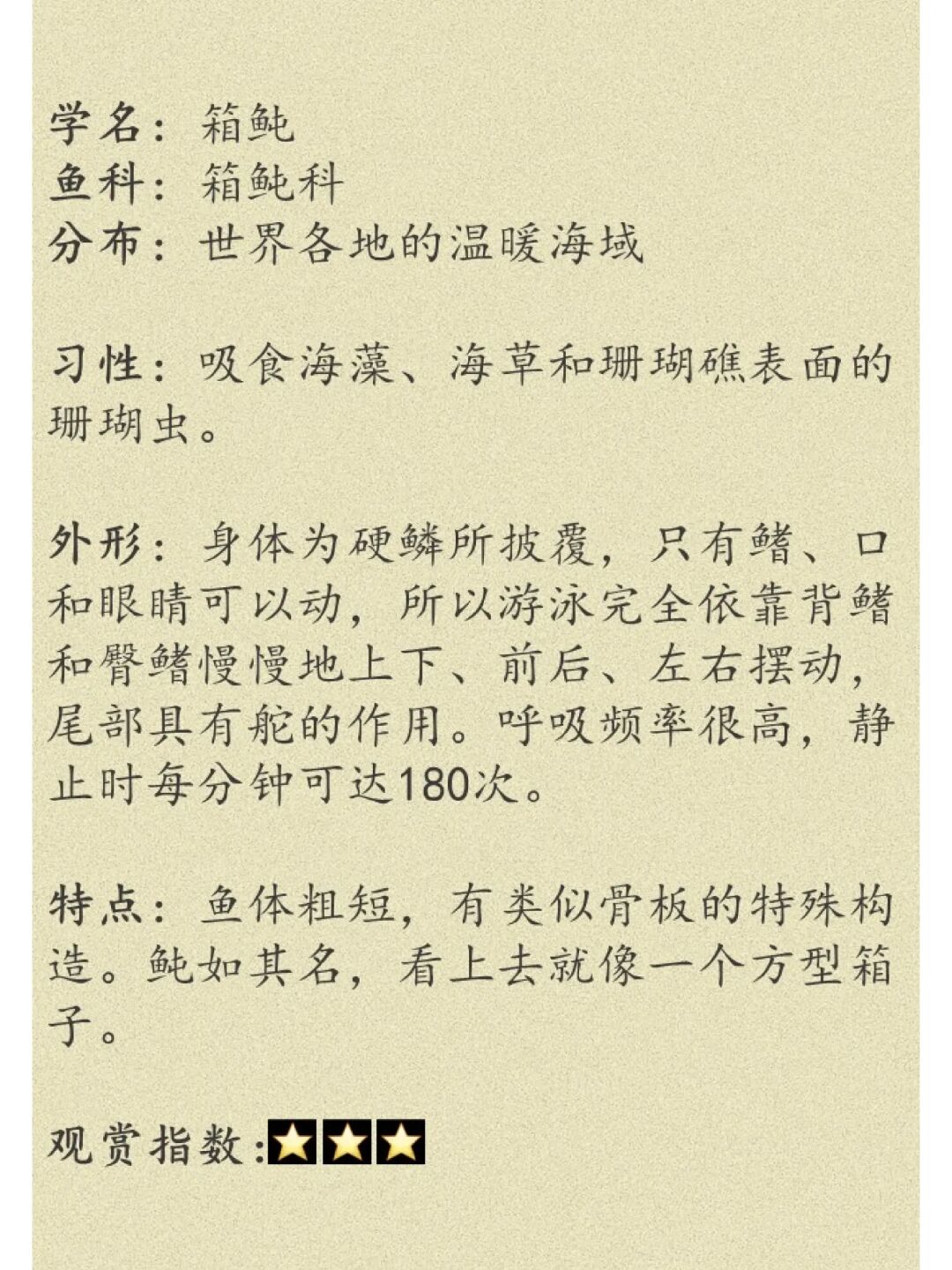 每天认识一种海洋生物day3Ⅰ箱鲀 学名箱鲀 鱼科箱鲀科 分布世界