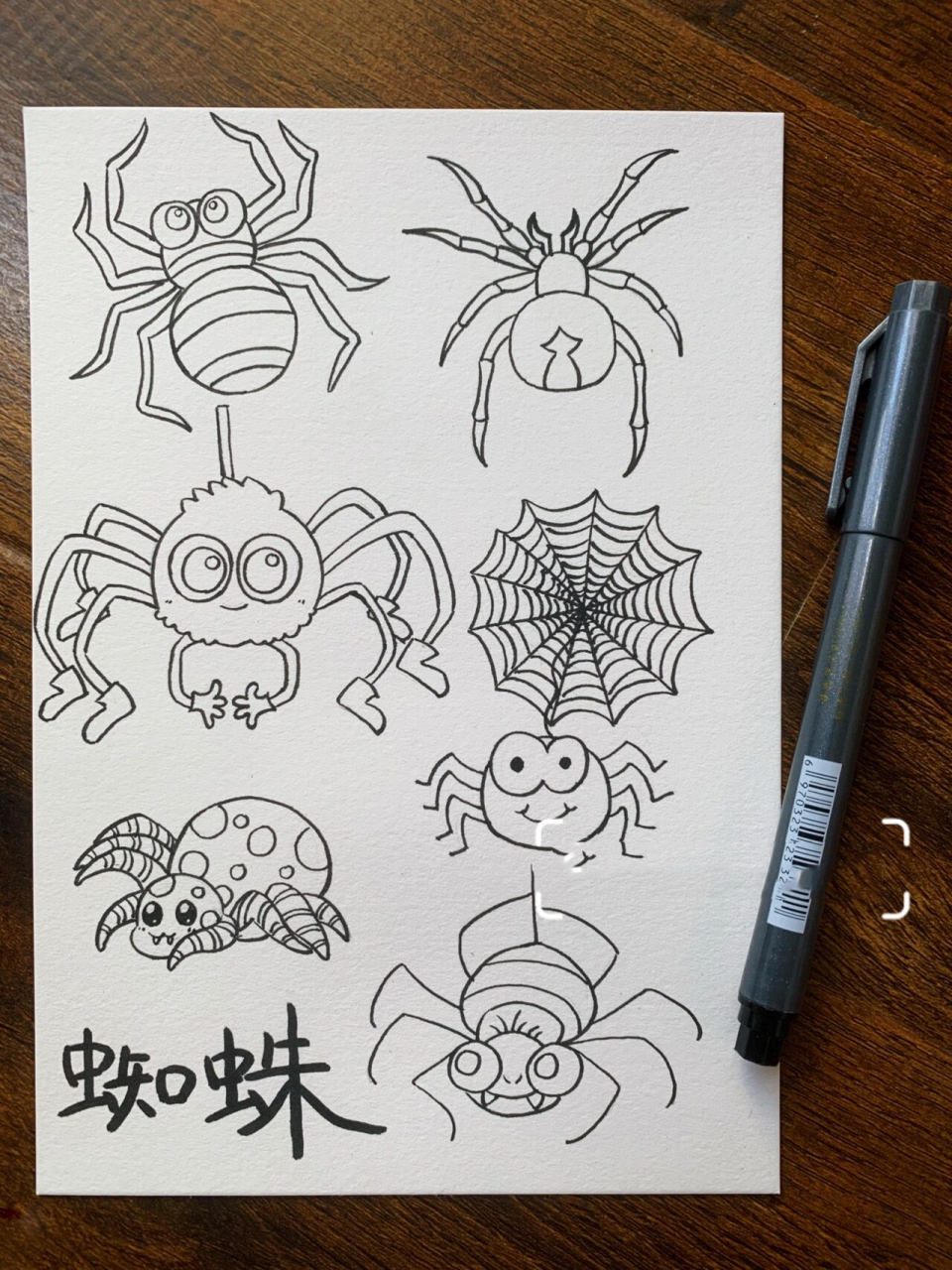 蜘蛛手绘手帐简笔画临摹练习素材黑白线稿图
