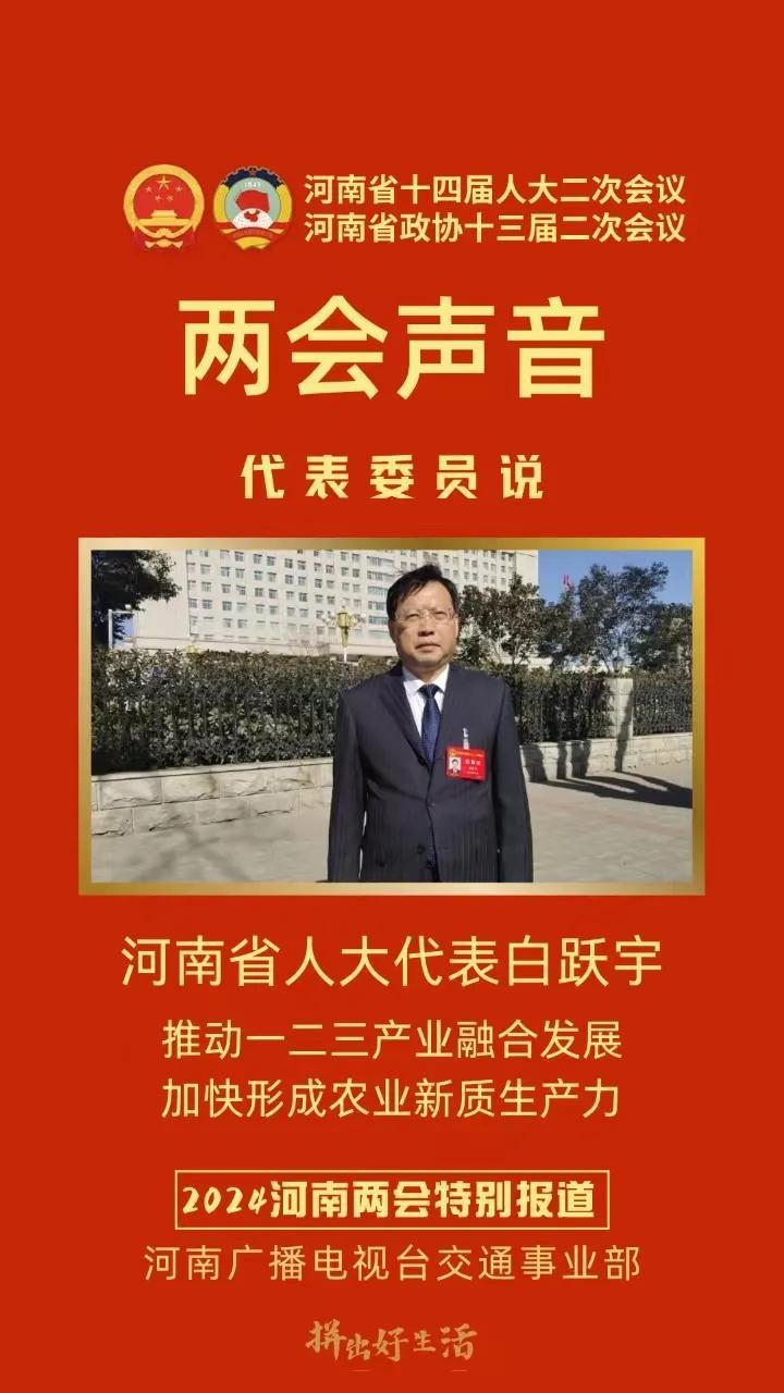 河南人大代表图片