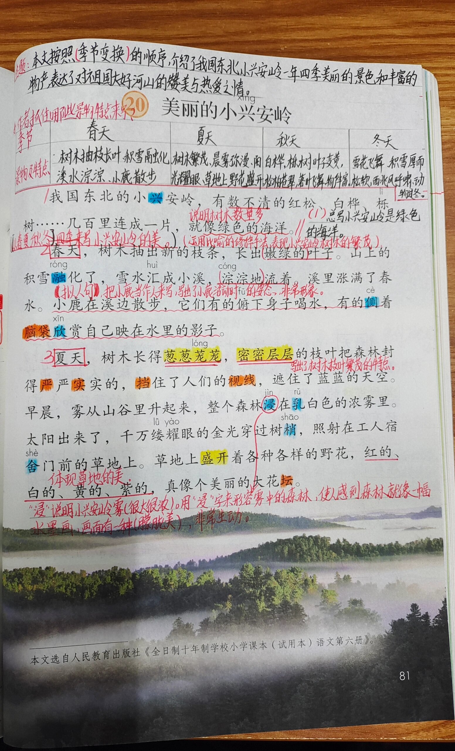 美丽的小兴安岭读后感图片