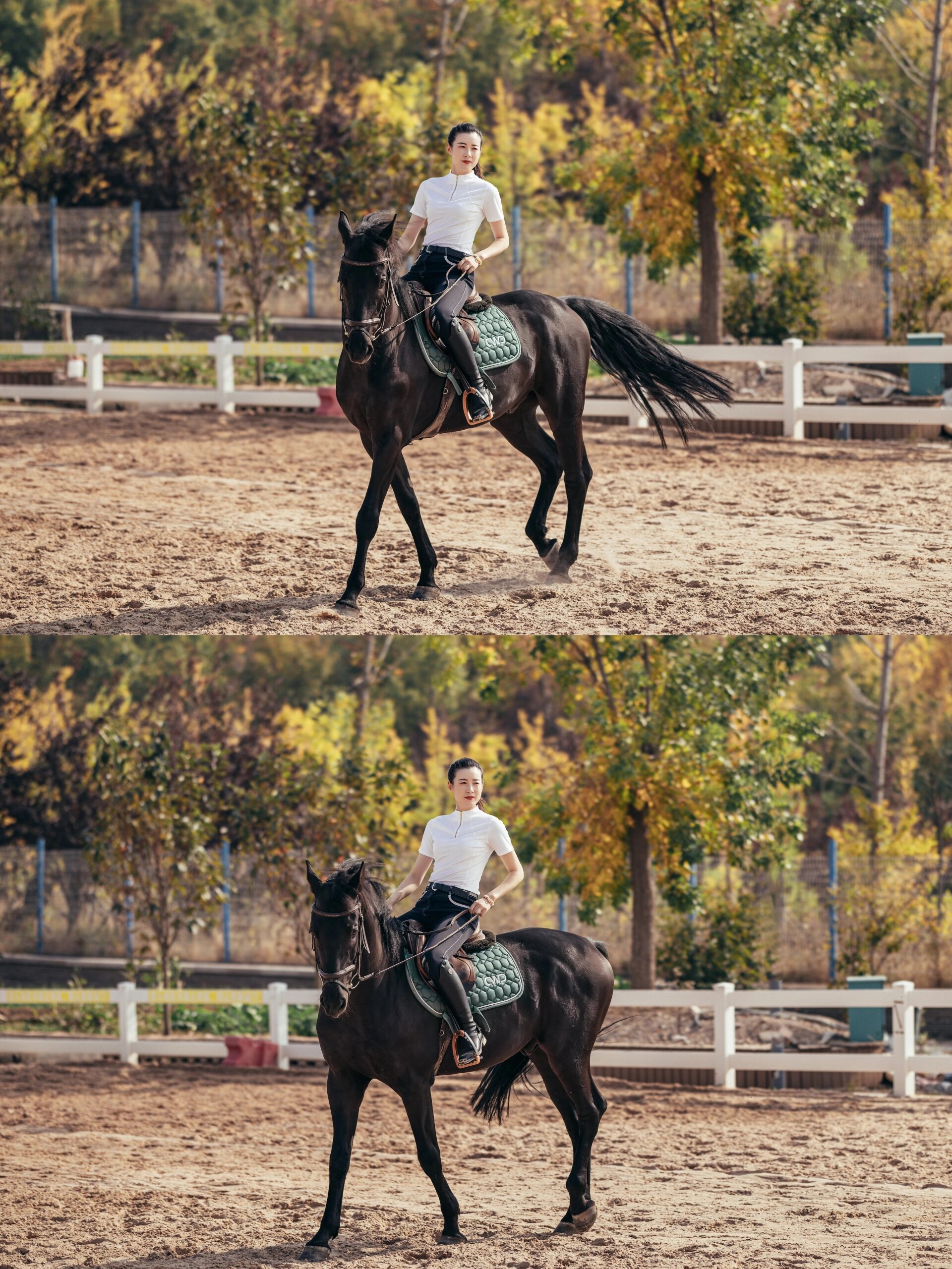 青岛秋日马场|一场奔赴山海的热爱