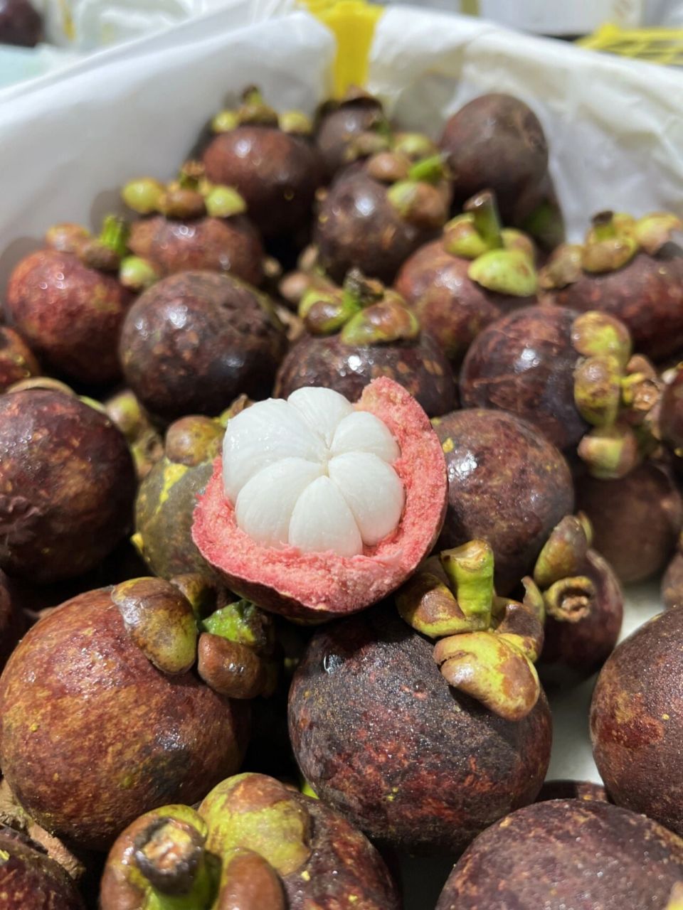 泰国空运老树麻竹山竹,不要错过 泰国空运山竹调 # ②增加老树麻竹5斤