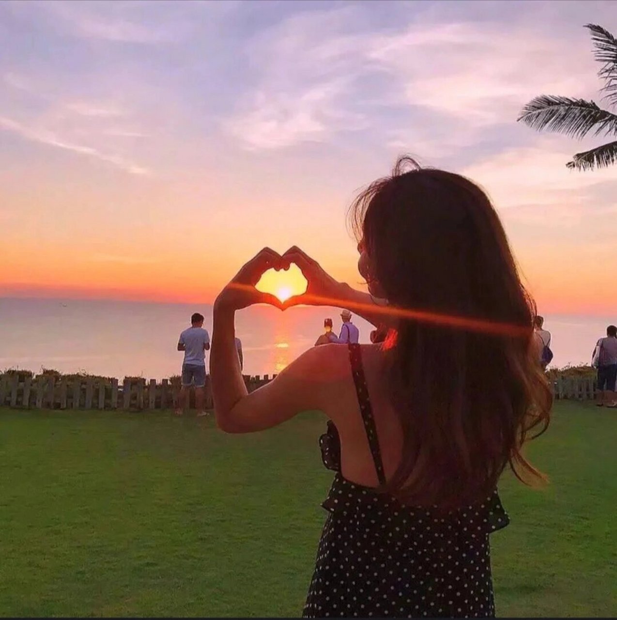 高颜值头像女生鸭!