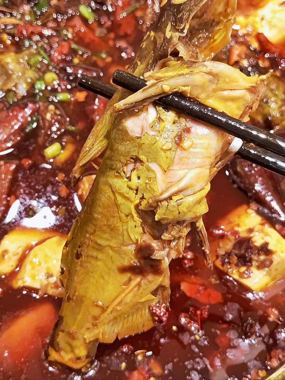 汉中超火爆的鱼庄 黄辣丁口味麻辣鲜香 来汉中怎么能不吃鱼呢 这家堰