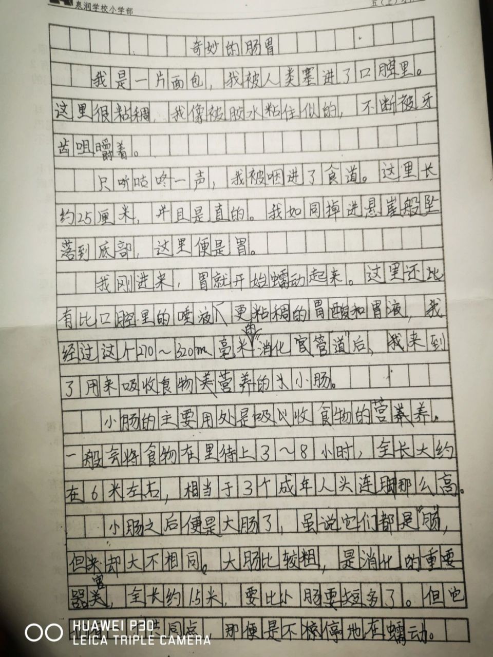 五年级作文—说明文,介绍一种事物