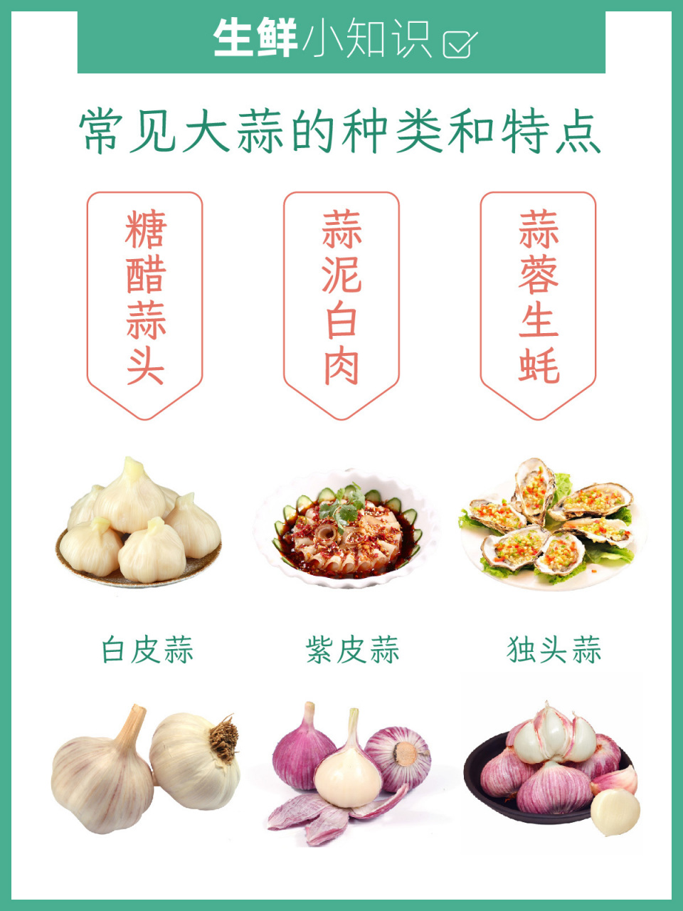 常见大蒜的种类和特点 919191大蒜是重要的调味94蔬菜92
