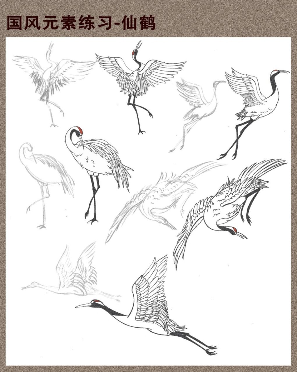 我们一起画仙鹤吧06#我的插画日记# #国风插画# #仙鹤