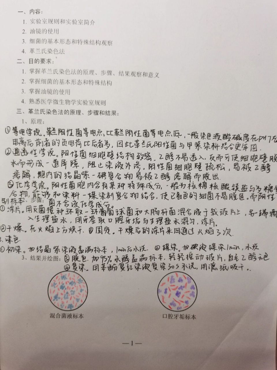 医学微生物学革兰染色实验报告