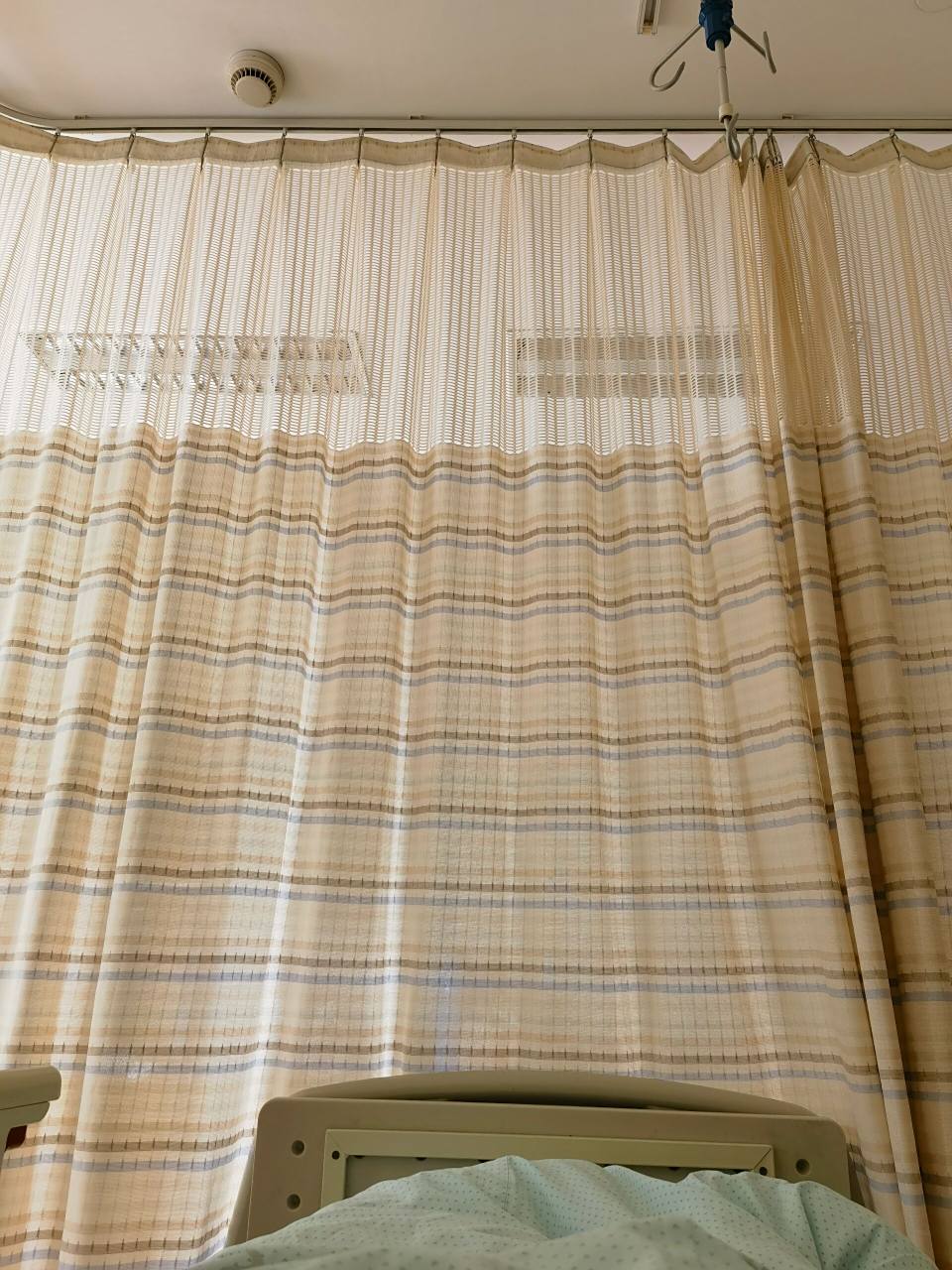 4 让赵宏利医生给我开了入院证,移植鲜胚后直接入住.