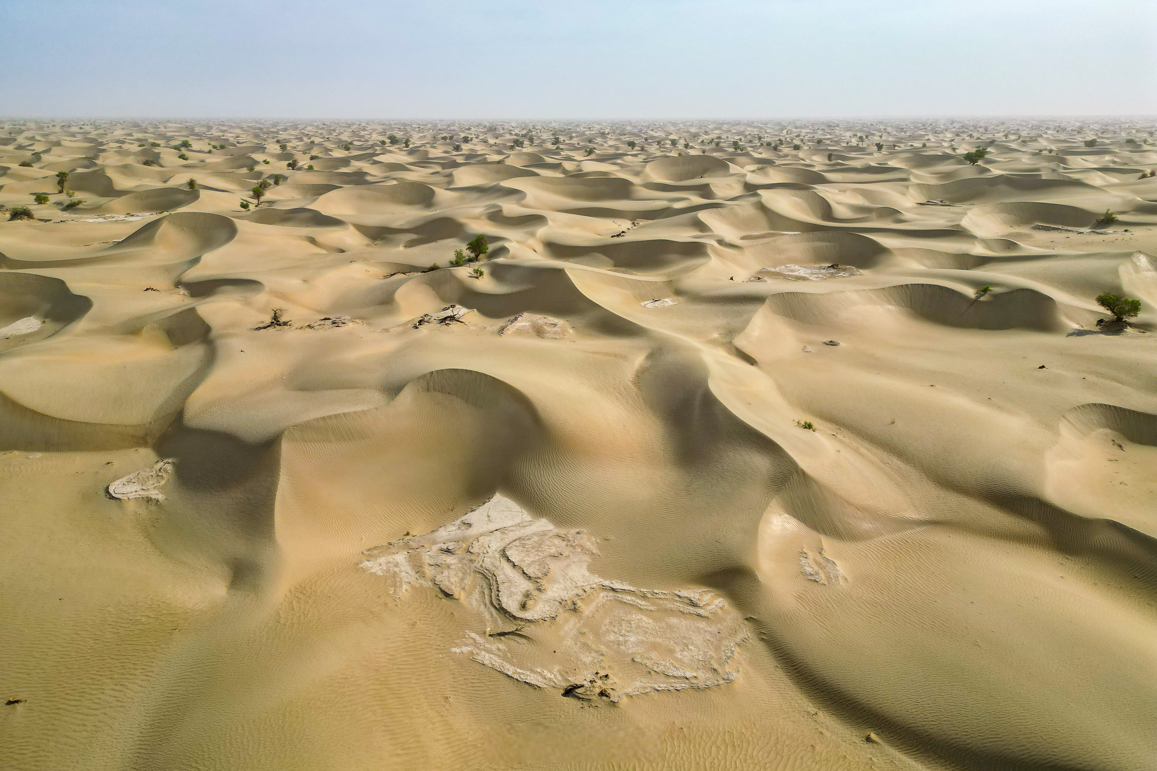 当年对于远方的幻想,天高地阔间,莽莽苍苍的草原和一望无际的沙漠无疑