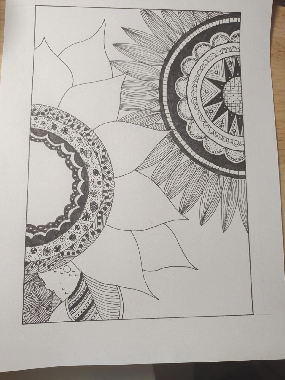 黑白画|黑白装饰画花卉简简单单