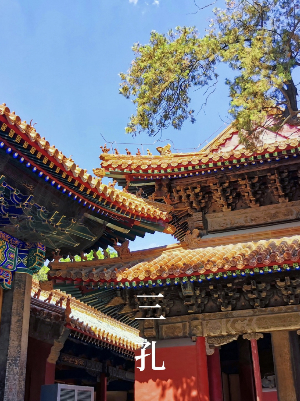 免门票|千年孔府山东曲阜三孔景区 曲阜三孔:山东省曲阜市的孔府,孔庙