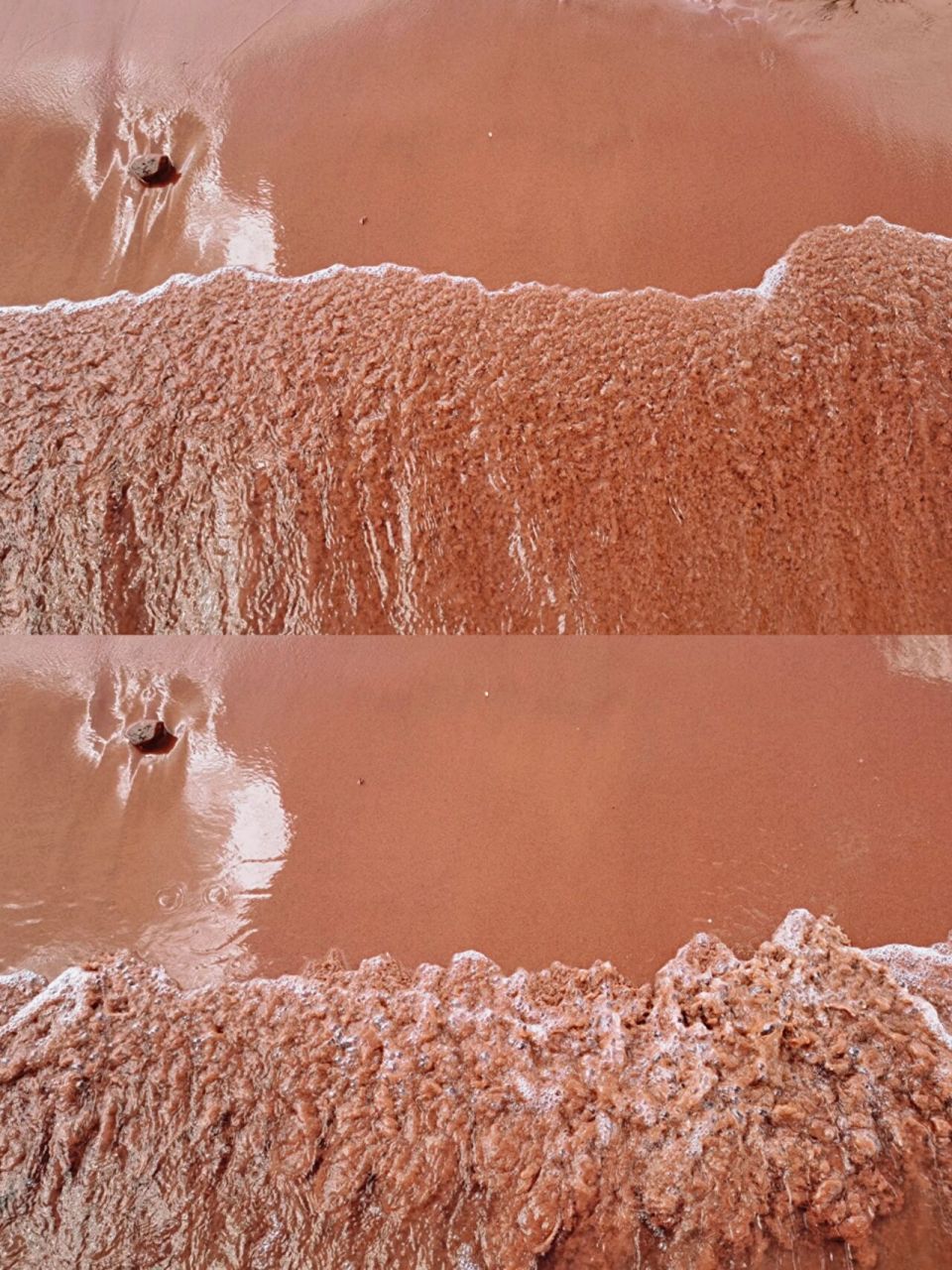 据说国内唯一的一片粉红沙滩92就藏在澄江的抚仙湖