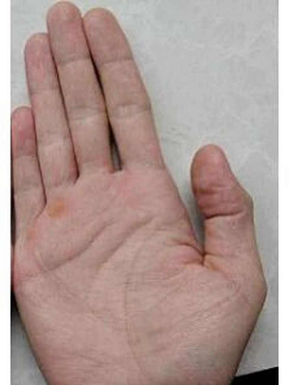 这次我分享一下木形手: 木形手又称结节手,哲学手,学者手.